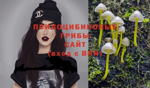 соль курить ск Алзамай