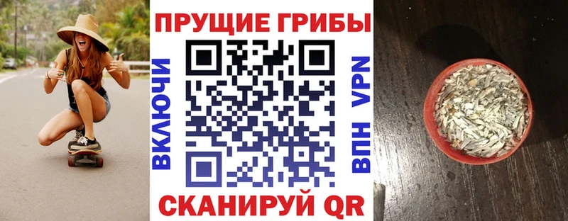 наркота  shop как зайти  Псилоцибиновые грибы GOLDEN TEACHER  Сольвычегодск 
